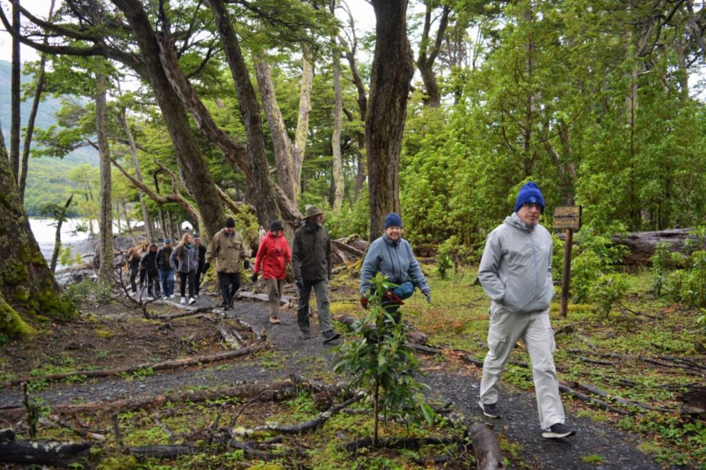 Grupo en la caminata interpretativa por el bosque andino patagónico, en la costa de Bahía Toro
